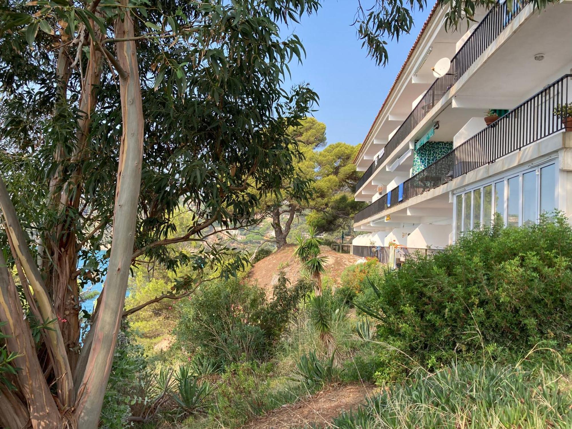 Ferienwohnung Bertur Cala Llevado Tossa de Mar Exterior foto
